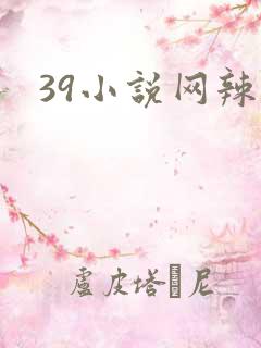 39小说网辣文