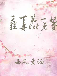 天下第一妃神医狂妻txt免费下载