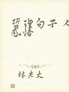 哲理句子 人生感悟