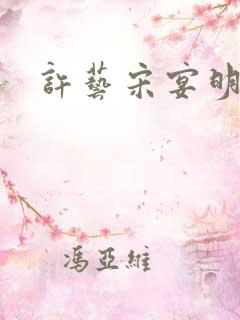 许艺宋宴明小说