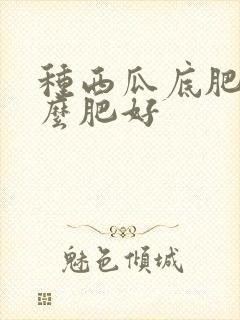 种西瓜底肥用什么肥好