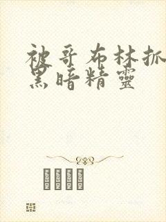 被哥布林抓住的黑暗精灵