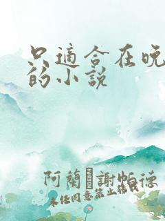 只适合在晚上看的小说