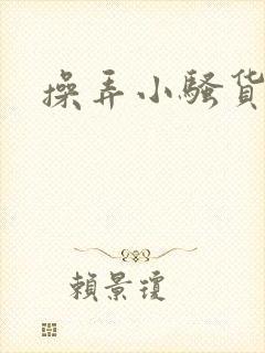 操弄小骚货小说