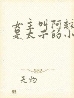 女主叫阿离男主是太子的小说