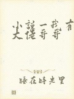 小说一我有七个大佬哥哥