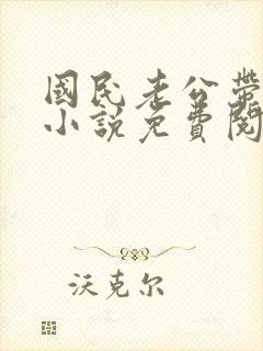 国民老公带回家小说免费阅读