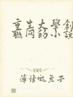 重生大学创业互联网的小说