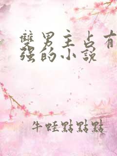 双男主占有欲很强的小说
