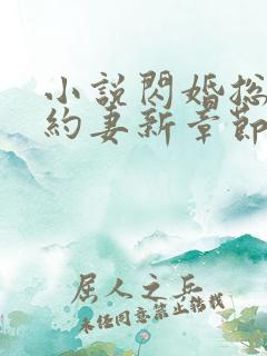 小说闪婚总裁契约妻新章节列表