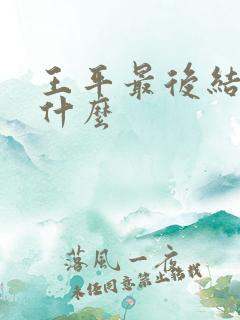 王平最后结局是什么