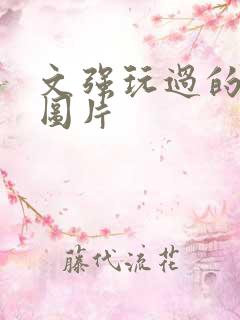 文强玩过的女人图片