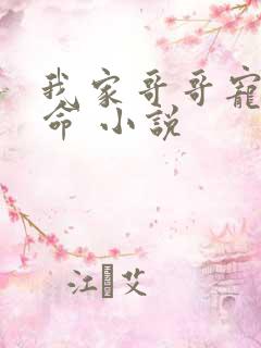 我家哥哥宠妹如命 小说