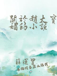 关于赵大宝和苏媚的小说