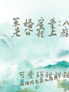 军婚蜜爱:八零老公宠上瘾大结局