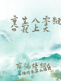 重生八零糙汉老公宠上天