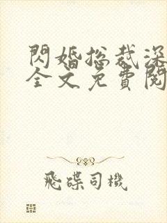 闪婚总裁深度爱全文免费阅读