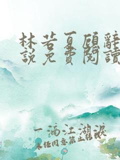 林若夏顾辞舟小说免费阅读最新章节