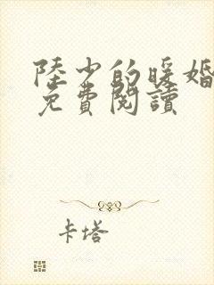 陆少的暖婚新妻免费阅读