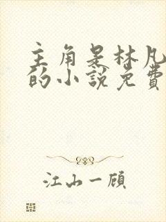 主角是林凡叶惜的小说免费阅读