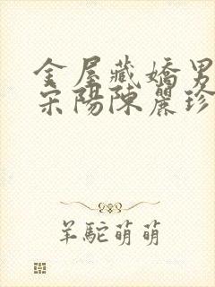 金屋藏娇男主角宋阳陈丽珍