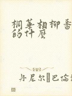 桐华相柳番外写的什么
