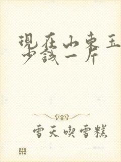 现在山东玉米多少钱一斤