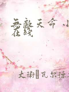 无敌天命 小说在线