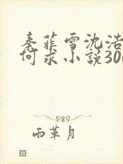 秦菲雪沈浩一生何求小说300章