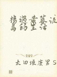 杨过黄蓉流落荒岛的生活