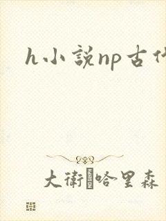 h小说np古代