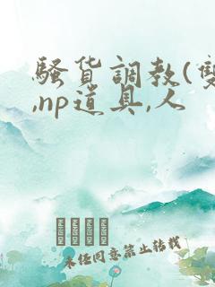 骚货调教(双性,np道具,人