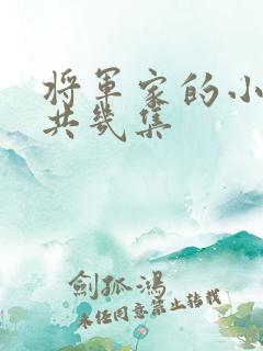 将军家的小娘子共几集