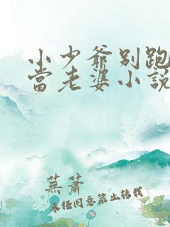 小少爷别跑乖乖当老婆小说免费阅读