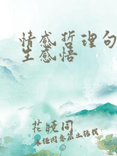 情感哲理句子人生感悟