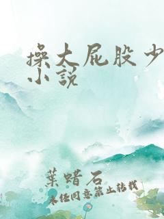 操大屁股少妇的小说