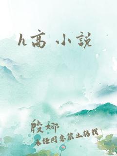 h高 小说