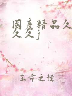 国产精品久久久久久j