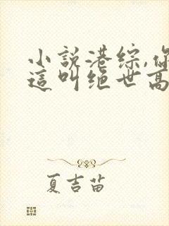 小说港综,你管这叫绝世高手?txt