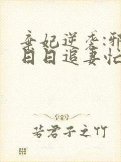 弃妃逆袭:邪王日日追妻忙