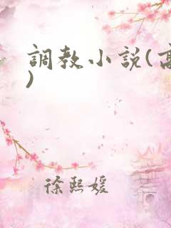 调教小说(高h)