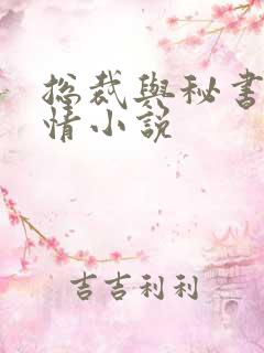 总裁与秘书的言情小说