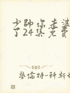 少帅你老婆又跑了24集免费观看