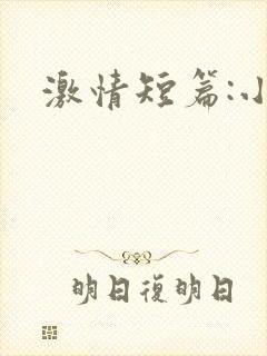 激情短篇:小说