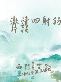激情四射的小说片段
