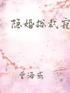 隐婚总裁宠上天