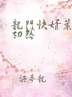 龙门快婿叶辰萧初然