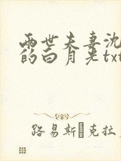 两世夫妻沈先生的白月光txt下载