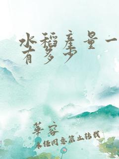 水稻产量一亩能有多少