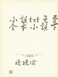 小说txt免费全本小说下载